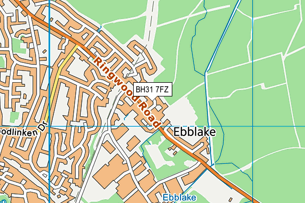 BH31 7FZ map - OS VectorMap District (Ordnance Survey) BH31 7FZ map - OS VectorMap District (Ordnance Survey)