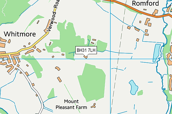 BH31 7LH map - OS VectorMap District (Ordnance Survey) BH31 7LH map - OS VectorMap District (Ordnance Survey)