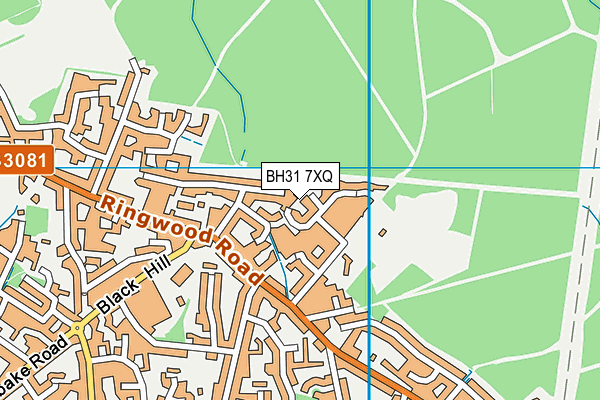 BH31 7XQ map - OS VectorMap District (Ordnance Survey) BH31 7XQ map - OS VectorMap District (Ordnance Survey)