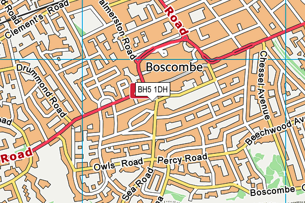 BH5 1DH map - OS VectorMap District (Ordnance Survey)