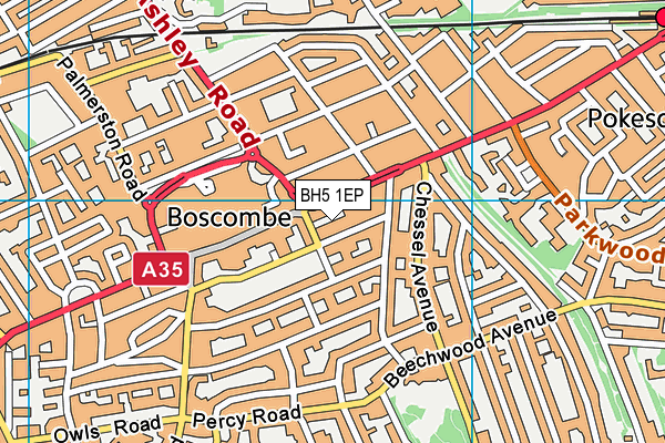 BH5 1EP map - OS VectorMap District (Ordnance Survey) BH5 1EP map - OS VectorMap District (Ordnance Survey)