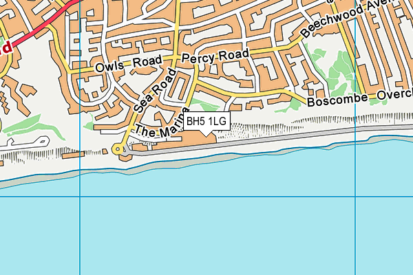 BH5 1LG map - OS VectorMap District (Ordnance Survey) BH5 1LG map - OS VectorMap District (Ordnance Survey)