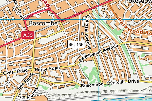BH5 1NH map - OS VectorMap District (Ordnance Survey) BH5 1NH map - OS VectorMap District (Ordnance Survey)