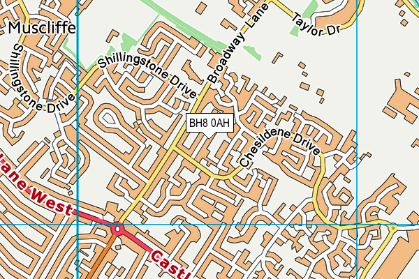 BH8 0AH map - OS VectorMap District (Ordnance Survey) BH8 0AH map - OS VectorMap District (Ordnance Survey)