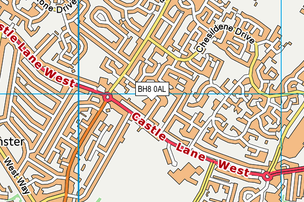 BH8 0AL map - OS VectorMap District (Ordnance Survey) BH8 0AL map - OS VectorMap District (Ordnance Survey)