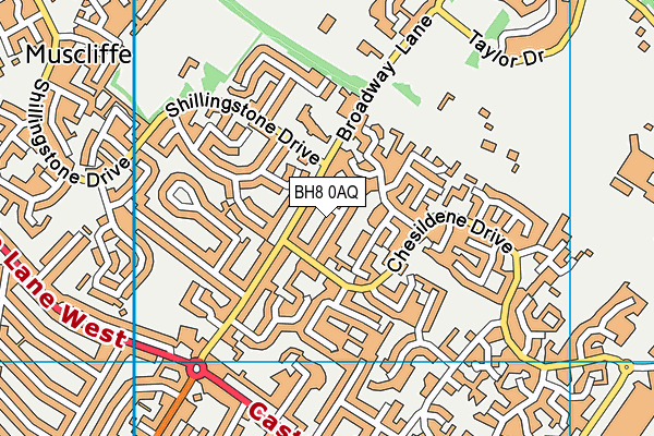 BH8 0AQ map - OS VectorMap District (Ordnance Survey) BH8 0AQ map - OS VectorMap District (Ordnance Survey)