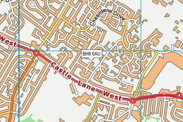 BH8 0AU map - OS VectorMap District (Ordnance Survey)