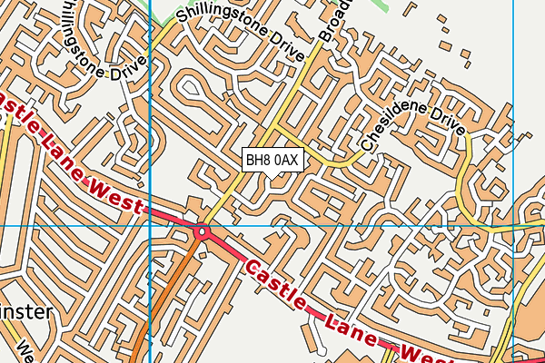 BH8 0AX map - OS VectorMap District (Ordnance Survey) BH8 0AX map - OS VectorMap District (Ordnance Survey)