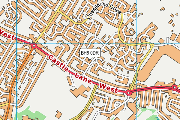 BH8 0DR map - OS VectorMap District (Ordnance Survey)