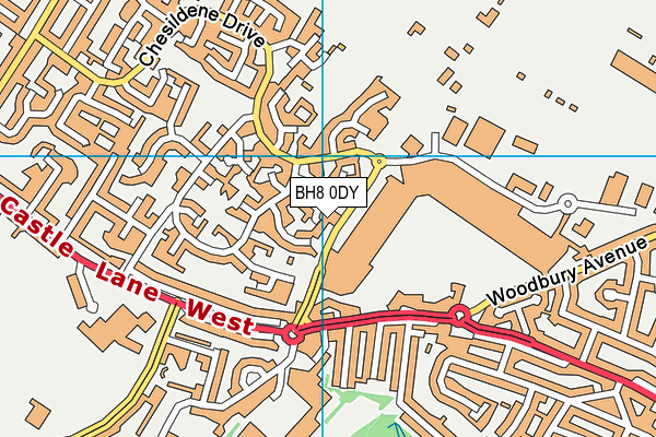 BH8 0DY map - OS VectorMap District (Ordnance Survey) BH8 0DY map - OS VectorMap District (Ordnance Survey)