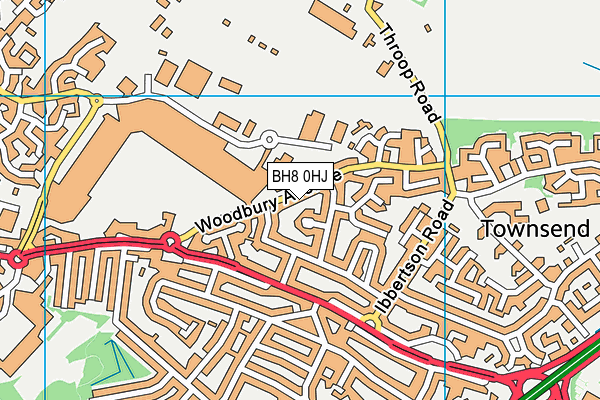 BH8 0HJ map - OS VectorMap District (Ordnance Survey)
