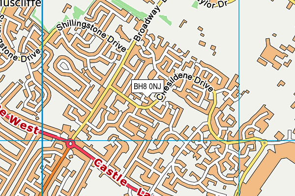 BH8 0NJ map - OS VectorMap District (Ordnance Survey) BH8 0NJ map - OS VectorMap District (Ordnance Survey)