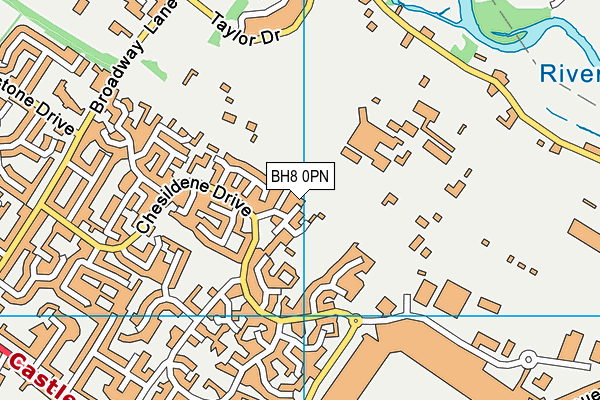 BH8 0PN map - OS VectorMap District (Ordnance Survey) BH8 0PN map - OS VectorMap District (Ordnance Survey)