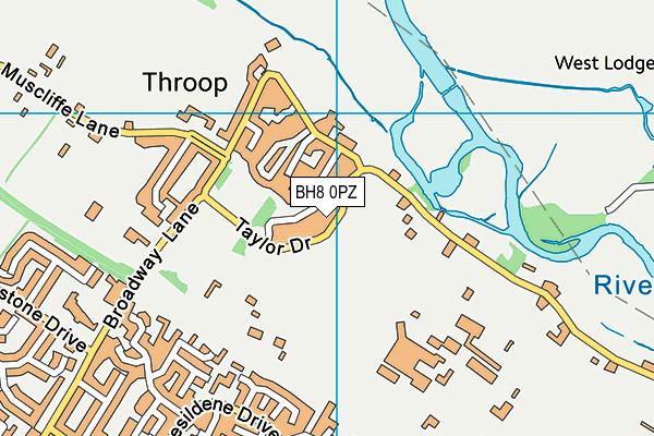 BH8 0PZ map - OS VectorMap District (Ordnance Survey) BH8 0PZ map - OS VectorMap District (Ordnance Survey)