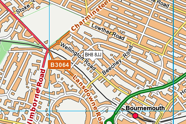 BH8 8JJ map - OS VectorMap District (Ordnance Survey) BH8 8JJ map - OS VectorMap District (Ordnance Survey)