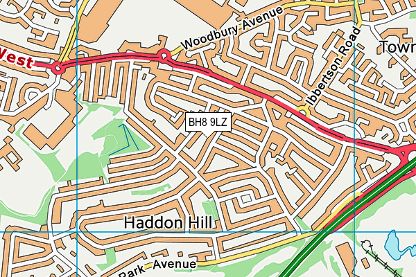 BH8 9LZ map - OS VectorMap District (Ordnance Survey)