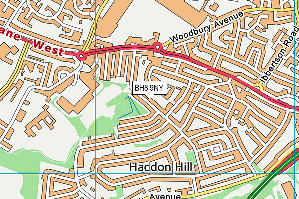 BH8 9NY map - OS VectorMap District (Ordnance Survey) BH8 9NY map - OS VectorMap District (Ordnance Survey)