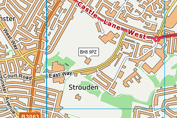 BH8 9PZ map - OS VectorMap District (Ordnance Survey) BH8 9PZ map - OS VectorMap District (Ordnance Survey)