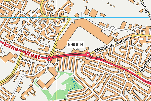 BH8 9TN map - OS VectorMap District (Ordnance Survey) BH8 9TN map - OS VectorMap District (Ordnance Survey)