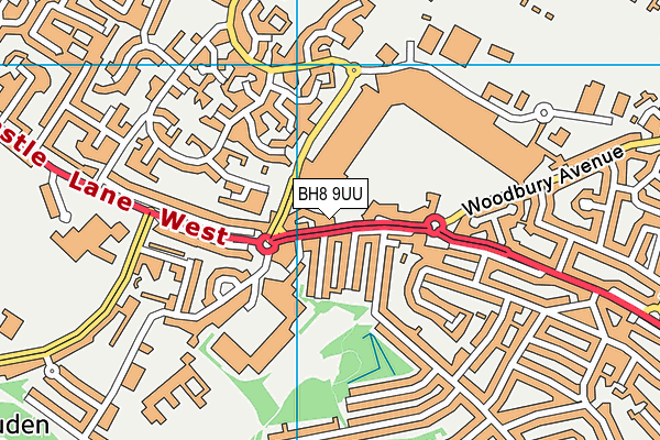 BH8 9UU map - OS VectorMap District (Ordnance Survey) BH8 9UU map - OS VectorMap District (Ordnance Survey)