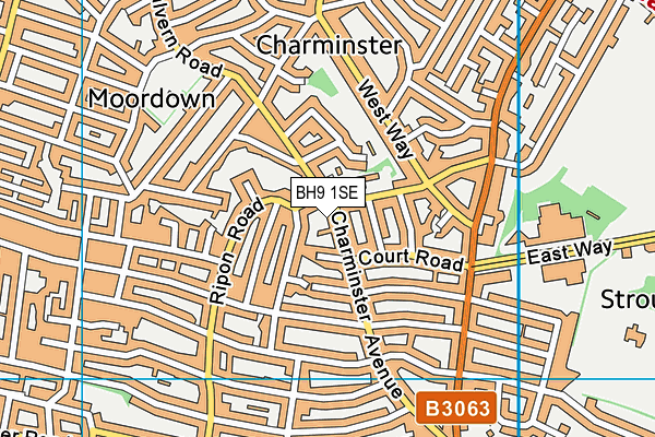 BH9 1SE map - OS VectorMap District (Ordnance Survey) BH9 1SE map - OS VectorMap District (Ordnance Survey)