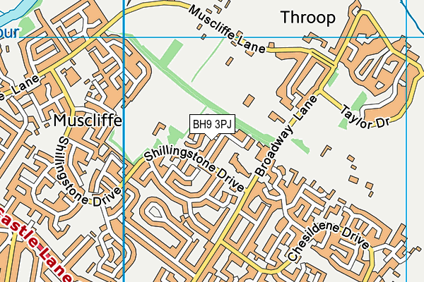 BH9 3PJ map - OS VectorMap District (Ordnance Survey) BH9 3PJ map - OS VectorMap District (Ordnance Survey)