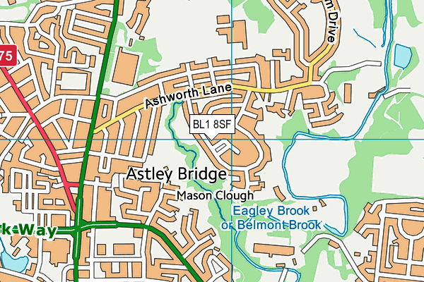 BL1 8SF map - OS VectorMap District (Ordnance Survey) BL1 8SF map - OS VectorMap District (Ordnance Survey)