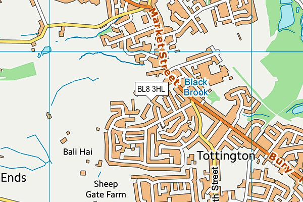 BL8 3HL map - OS VectorMap District (Ordnance Survey) BL8 3HL map - OS VectorMap District (Ordnance Survey)