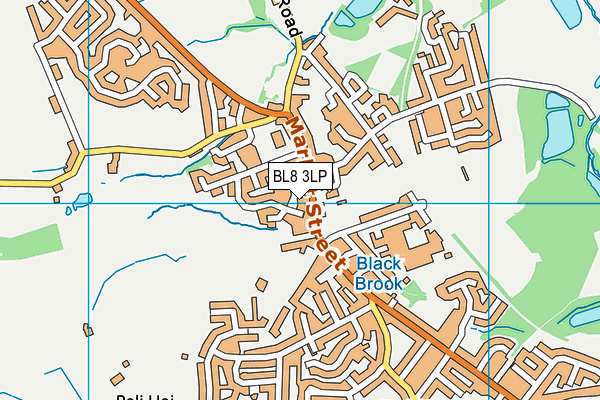 BL8 3LP map - OS VectorMap District (Ordnance Survey) BL8 3LP map - OS VectorMap District (Ordnance Survey)