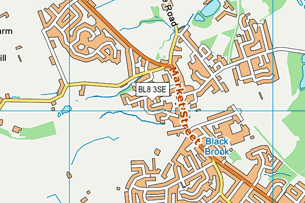 BL8 3SE map - OS VectorMap District (Ordnance Survey) BL8 3SE map - OS VectorMap District (Ordnance Survey)