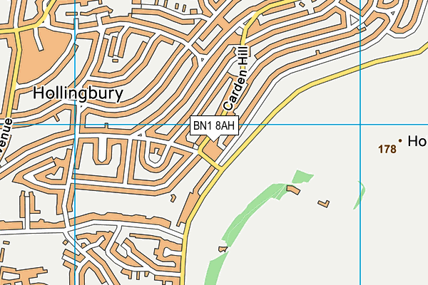 BN1 8AH map - OS VectorMap District (Ordnance Survey) BN1 8AH map - OS VectorMap District (Ordnance Survey)