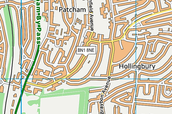 BN1 8NE map - OS VectorMap District (Ordnance Survey) BN1 8NE map - OS VectorMap District (Ordnance Survey)