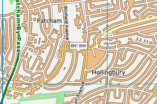BN1 8NH map - OS VectorMap District (Ordnance Survey) BN1 8NH map - OS VectorMap District (Ordnance Survey)