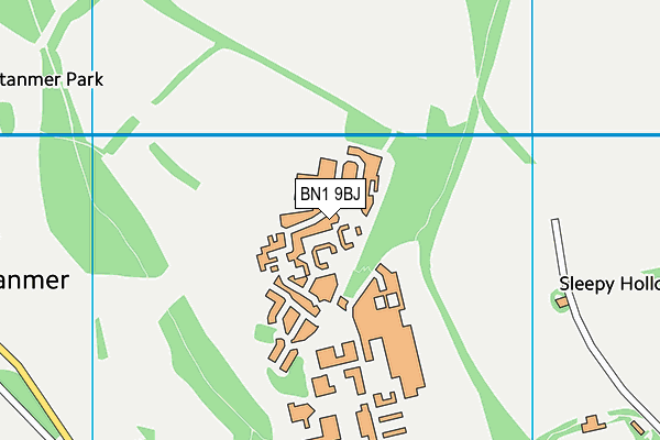 BN1 9BJ map - OS VectorMap District (Ordnance Survey) BN1 9BJ map - OS VectorMap District (Ordnance Survey)