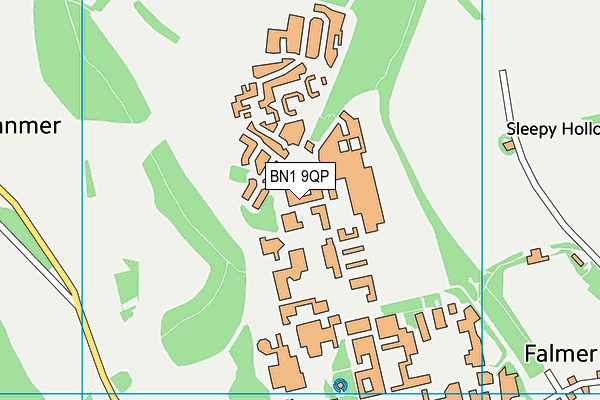 BN1 9QP map - OS VectorMap District (Ordnance Survey) BN1 9QP map - OS VectorMap District (Ordnance Survey)
