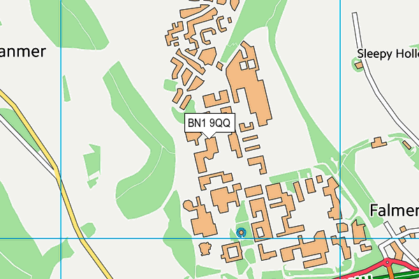 BN1 9QQ map - OS VectorMap District (Ordnance Survey) BN1 9QQ map - OS VectorMap District (Ordnance Survey)