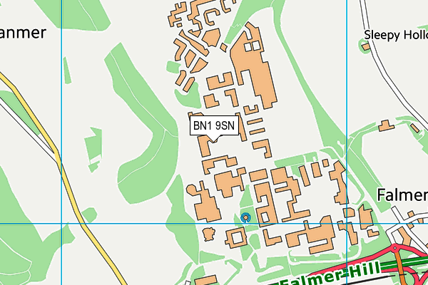 BN1 9SN map - OS VectorMap District (Ordnance Survey) BN1 9SN map - OS VectorMap District (Ordnance Survey)