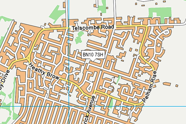 BN10 7SH map - OS VectorMap District (Ordnance Survey) BN10 7SH map - OS VectorMap District (Ordnance Survey)