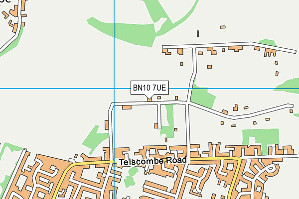 BN10 7UE map - OS VectorMap District (Ordnance Survey) BN10 7UE map - OS VectorMap District (Ordnance Survey)