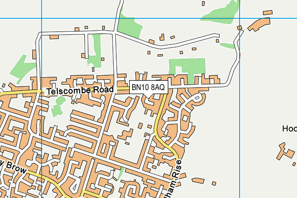 BN10 8AQ map - OS VectorMap District (Ordnance Survey) BN10 8AQ map - OS VectorMap District (Ordnance Survey)