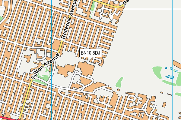 BN10 8DJ map - OS VectorMap District (Ordnance Survey) BN10 8DJ map - OS VectorMap District (Ordnance Survey)