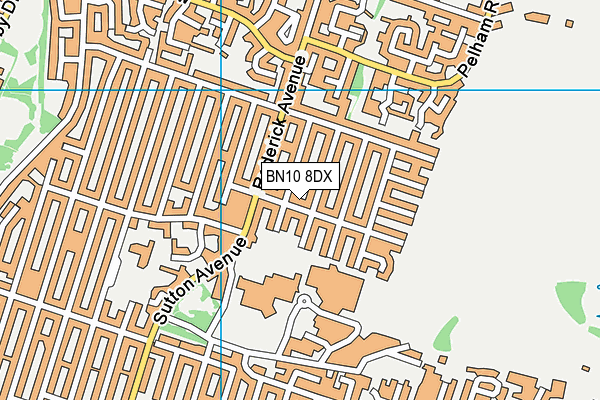 BN10 8DX map - OS VectorMap District (Ordnance Survey) BN10 8DX map - OS VectorMap District (Ordnance Survey)
