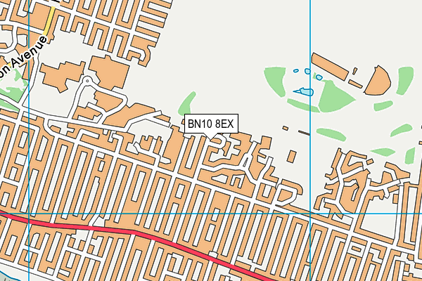 BN10 8EX map - OS VectorMap District (Ordnance Survey) BN10 8EX map - OS VectorMap District (Ordnance Survey)