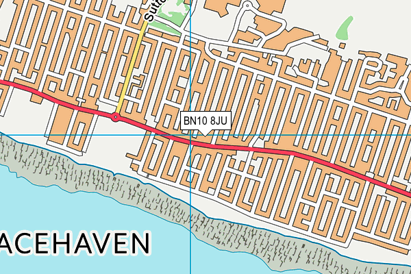 BN10 8JU map - OS VectorMap District (Ordnance Survey) BN10 8JU map - OS VectorMap District (Ordnance Survey)