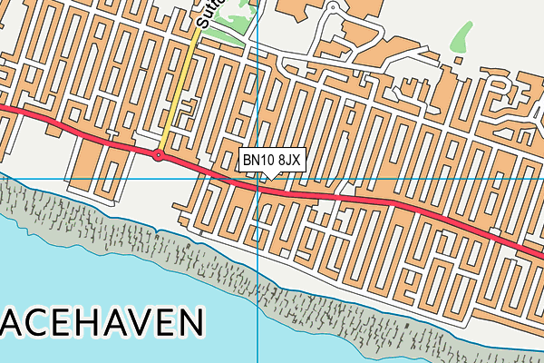 BN10 8JX map - OS VectorMap District (Ordnance Survey) BN10 8JX map - OS VectorMap District (Ordnance Survey)