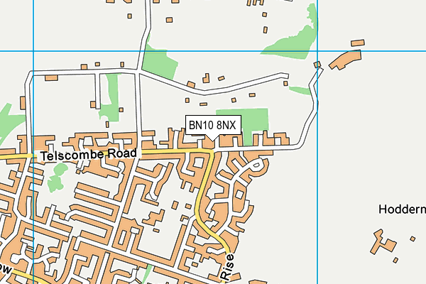 BN10 8NX map - OS VectorMap District (Ordnance Survey) BN10 8NX map - OS VectorMap District (Ordnance Survey)