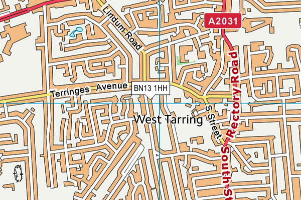 BN13 1HH map - OS VectorMap District (Ordnance Survey) BN13 1HH map - OS VectorMap District (Ordnance Survey)