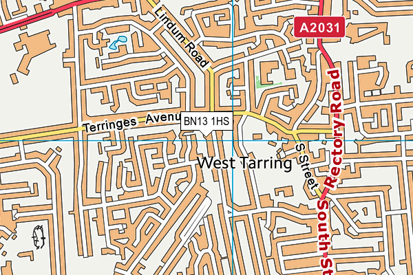 BN13 1HS map - OS VectorMap District (Ordnance Survey) BN13 1HS map - OS VectorMap District (Ordnance Survey)