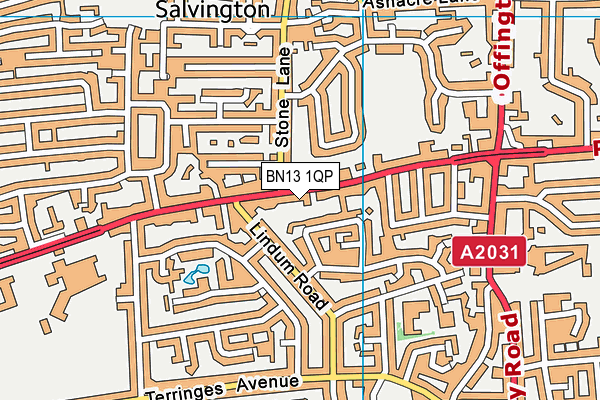 BN13 1QP map - OS VectorMap District (Ordnance Survey) BN13 1QP map - OS VectorMap District (Ordnance Survey)