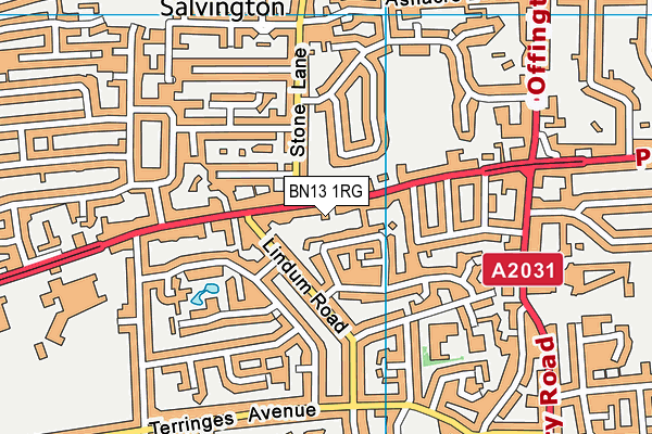 BN13 1RG map - OS VectorMap District (Ordnance Survey) BN13 1RG map - OS VectorMap District (Ordnance Survey)